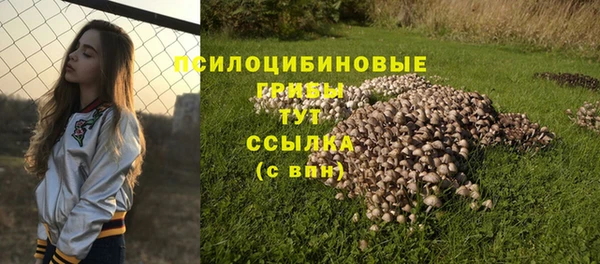 кокс Новозыбков